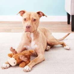 KONG Cozie Ali The Alligator Dog Toy + 2 Items 14 KONG Cozie Ali The Alligator Dog Toy + 2 Items -Blue Buffalo Shop 971406 PT3. AC SS1800 V1696338621