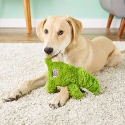 KONG Cozie Ali The Alligator Dog Toy + 2 Items 17 KONG Cozie Ali The Alligator Dog Toy + 2 Items -Blue Buffalo Shop 971406 PT6. AC SS1800 V1696338677