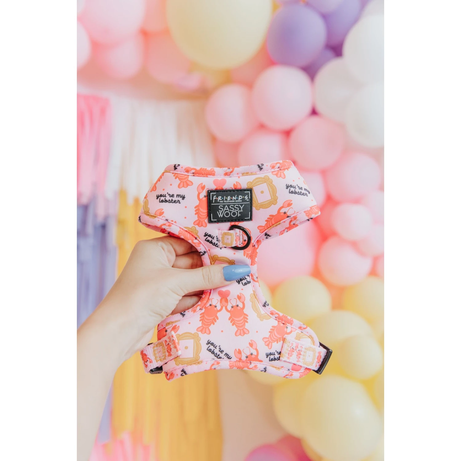 Sassy Woof Friends Dog Harness, Pink 5 Sassy Woof Friends Dog Harness, Pink - Image 3