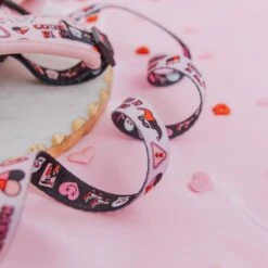 Sassy Woof Harley Quinn Dog Leash, Pink, 5-ft Long, 4/5-in Wide -Blue Buffalo Shop 980886 PT3. AC SS1800 V1698345214