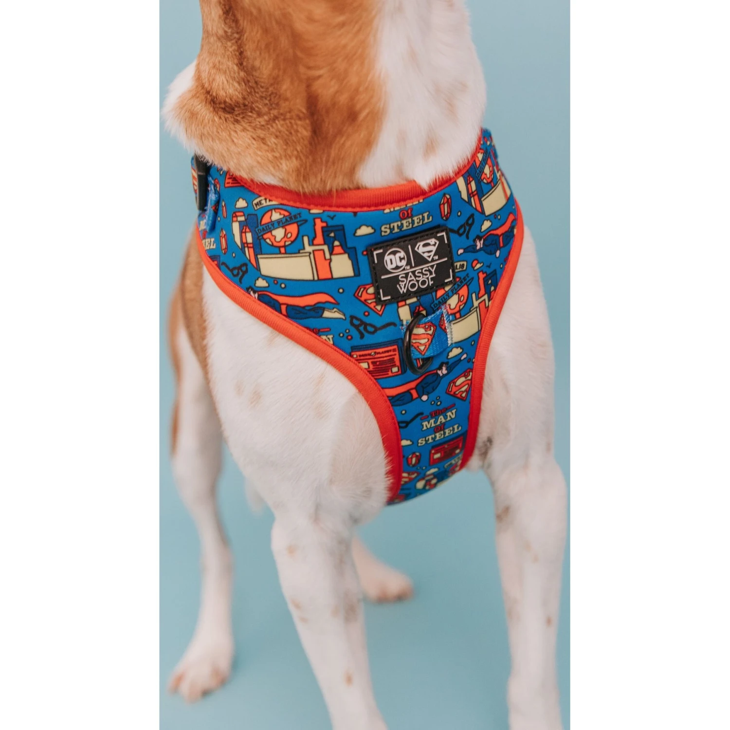 Sassy Woof Superman Dog Harness, Blue 5 Sassy Woof Superman Dog Harness, Blue - Image 3