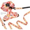 Sassy Woof Friends Dog Harness & Leash, Pink