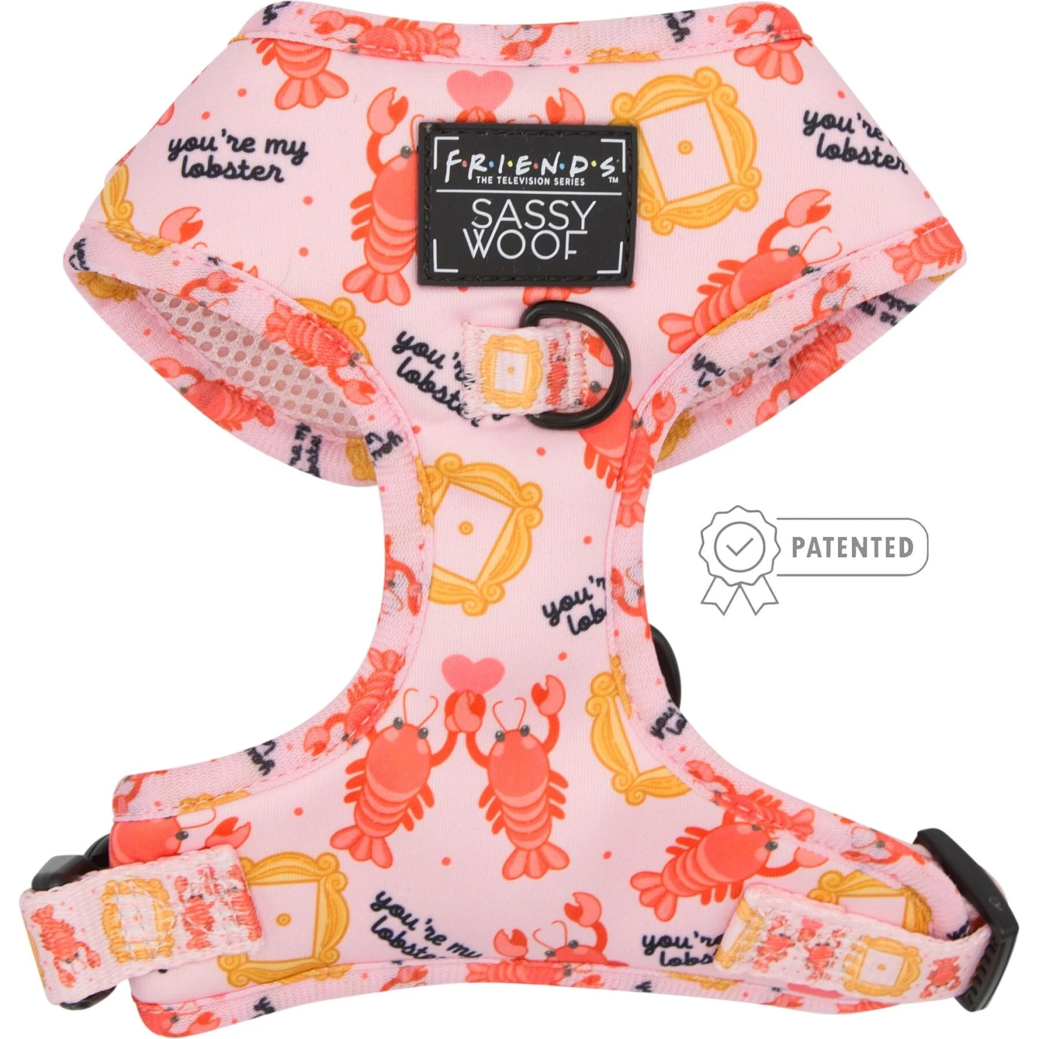 Sassy Woof Friends Dog Harness & Leash, Pink 4 Sassy Woof Friends Dog Harness & Leash, Pink - Image 2