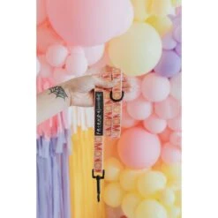 Sassy Woof Friends Dog Harness & Leash, Pink 12 Sassy Woof Friends Dog Harness & Leash, Pink -Blue Buffalo Shop 981918 PT4. AC SS1800 V1698343403