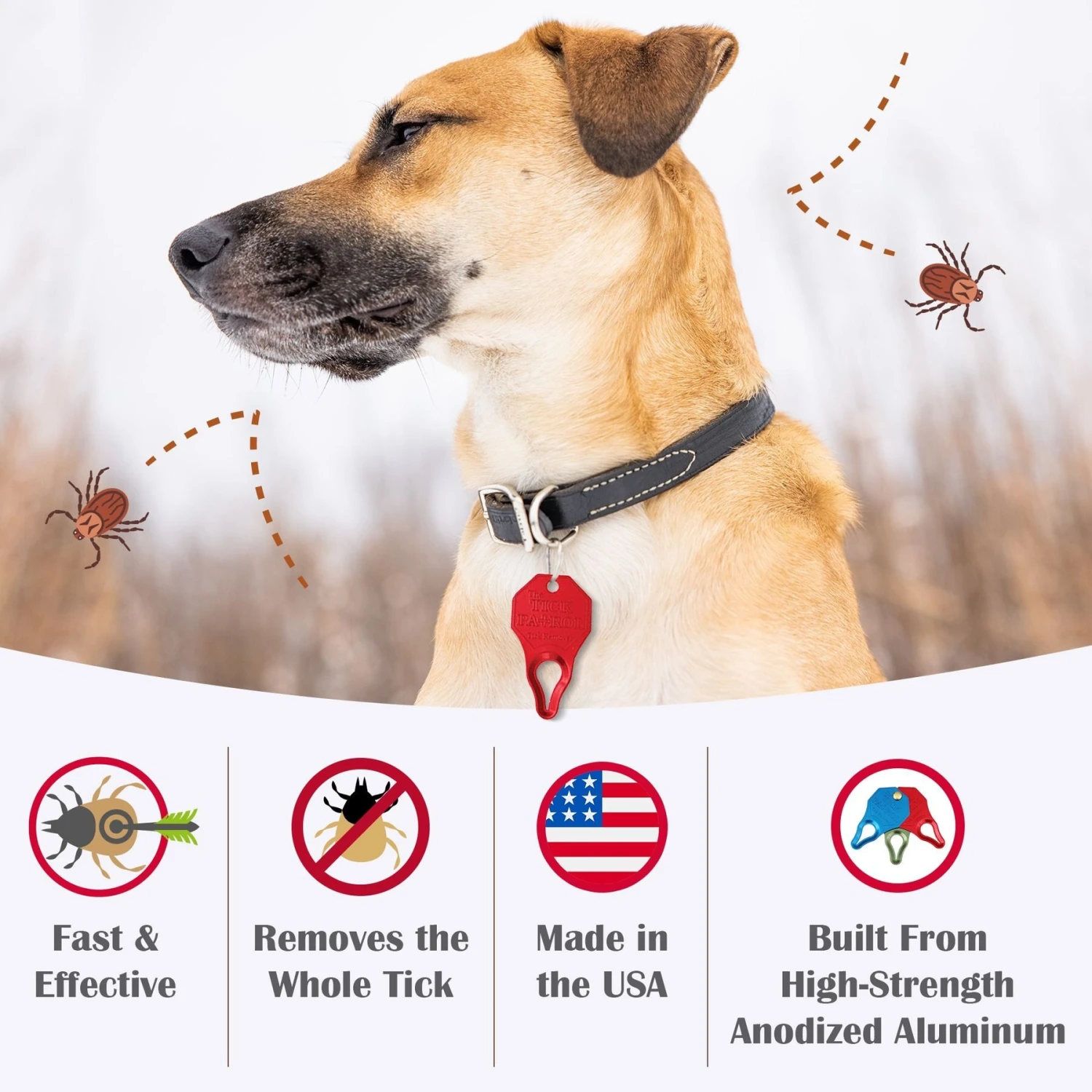 The Tick Patrol Aluminum Tick Remover Tool 5 The Tick Patrol Aluminum Tick Remover Tool - Image 3