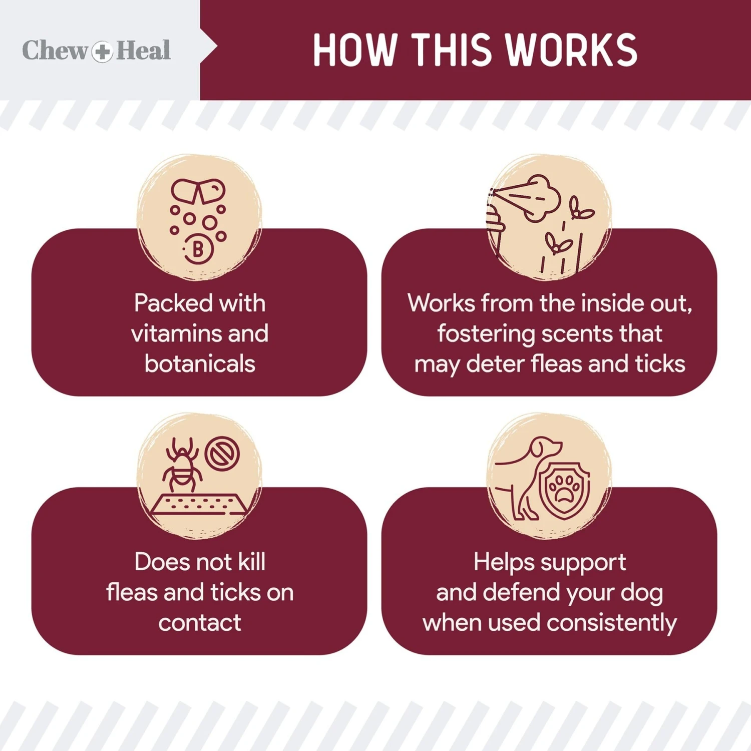 Chew + Heal Flea & Tick Support Soft Chew Supplement For Dogs, 180 Count 4 Chew + Heal Flea & Tick Support Soft Chew Supplement For Dogs, 180 Count - Image 2