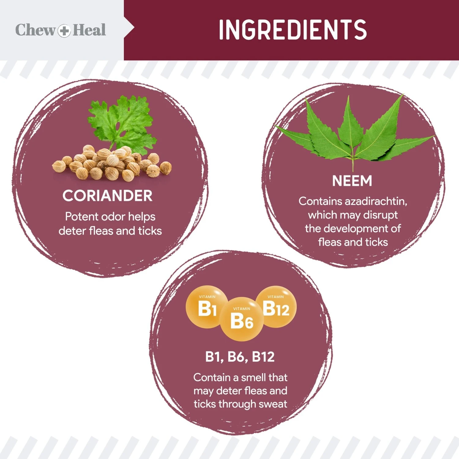 Chew + Heal Flea & Tick Support Soft Chew Supplement For Dogs, 180 Count 5 Chew + Heal Flea & Tick Support Soft Chew Supplement For Dogs, 180 Count - Image 3