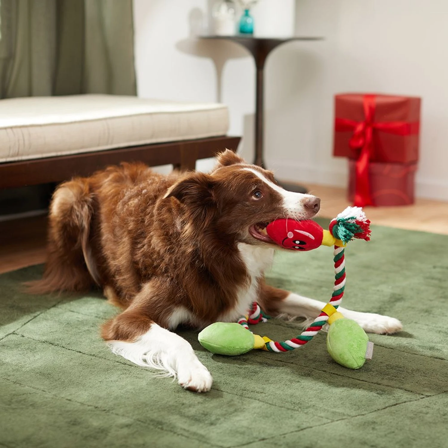 Frisco Holiday Reindeer Plush With Rope Squeaky Dog Toy & Frisco Holiday Lights Plush With Rope Squeaky Dog Toy 10 Frisco Holiday Reindeer Plush With Rope Squeaky Dog Toy & Frisco Holiday Lights Plush With Rope Squeaky Dog Toy - Image 8