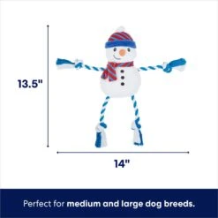 Frisco Holiday Snowman Plush With Rope Squeaky Dog Toy & Frisco Holiday Reindeer Plush With Rope Squeaky Dog Toy -Blue Buffalo Shop 986174 PT2. AC SS1800 V1698257848