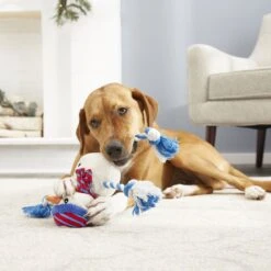 Frisco Holiday Snowman Plush With Rope Squeaky Dog Toy & Frisco Holiday Reindeer Plush With Rope Squeaky Dog Toy -Blue Buffalo Shop 986174 PT4. AC SS1800 V1698258345