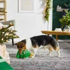 Frisco Holiday Santa's Helpers Plush Squeaky Dog Toy, 3 Count & Frisco Holiday Tree Thin Plush Squeaky Dog Toy 12 Frisco Holiday Santa's Helpers Plush Squeaky Dog Toy, 3 Count & Frisco Holiday Tree Thin Plush Squeaky Dog Toy -Blue Buffalo Shop 986222 PT8. AC SS1800 V1698257791