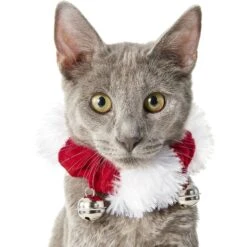 Frisco Holiday Dog & Cat Santa Hat, 1 Count & Frisco Jingle Bells Dog & Cat Holiday Collar With Bells, 1 Count -Blue Buffalo Shop 986254 PT6. AC SS1800 V1698258115
