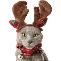 Frisco Jingle Bells Dog & Cat Holiday Collar With Bells, 1 Count & Frisco Holiday Antler Headband & Bell Collar Dog & Cat Costume -Blue Buffalo Shop 986294 PT6. AC SS1800 V1698257736