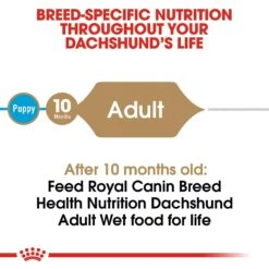 Royal Canin Breed Health Nutrition Dachshund Adult Loaf In Sauce Canned Dog Food -Blue Buffalo Shop 99665 PT3. AC SS1800 V1592564453
