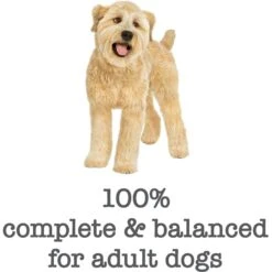 Purina Beneful Medleys Tuscan Style Canned Dog Food 17 Purina Beneful Medleys Tuscan Style Canned Dog Food -Blue Buffalo Shop 100126 PT6. AC SS1800 V1700160883