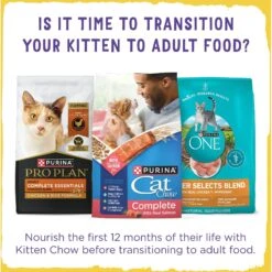 Kitten Chow Nurture Muscle & Brain Development Dry Cat Food -Blue Buffalo Shop 100176 PT2. AC SS1800 V1695846580