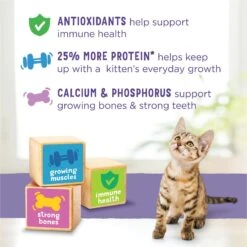 Kitten Chow Nurture Muscle & Brain Development Dry Cat Food -Blue Buffalo Shop 100176 PT8. AC SS1800 V1695743594