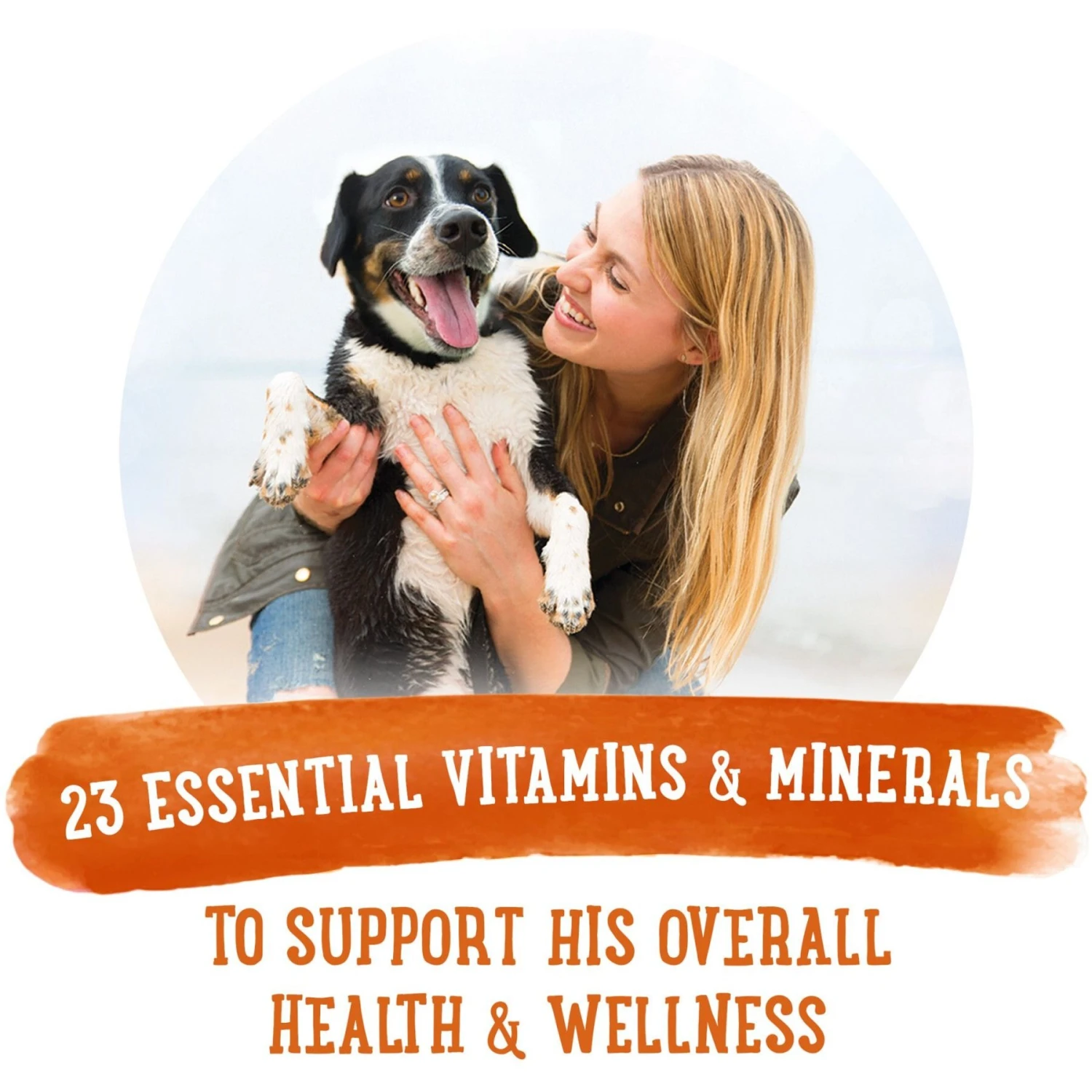 Purina Beneful Prepared Meals Simmered Chicken Medley With Green Beans, Carrots & Wild Rice Wet Dog Food 10 Purina Beneful Prepared Meals Simmered Chicken Medley With Green Beans, Carrots & Wild Rice Wet Dog Food - Image 8