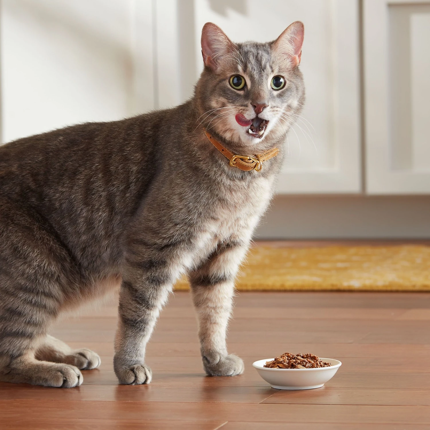 Meow Mix Tender Favorites Poultry & Beef Cat Food Trays Variety Pack 7 Meow Mix Tender Favorites Poultry & Beef Cat Food Trays Variety Pack - Image 5