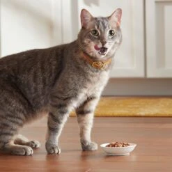 Meow Mix Tender Favorites Surf 'N Turf Variety Pack Cat Food Trays 15 Meow Mix Tender Favorites Surf 'N Turf Variety Pack Cat Food Trays -Blue Buffalo Shop 100241 PT4. AC SS1800 V1670940730
