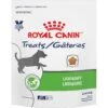 Royal Canin Veterinary Diet Adult Urinary Dog Treats -Blue Buffalo Shop 100462 MAIN. AC SS1800 V1696254967