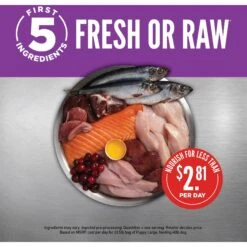 ORIJEN Puppy Large Grain-Free Dry Puppy Food -Blue Buffalo Shop 101293 PT3. AC SS1800 V1685631939