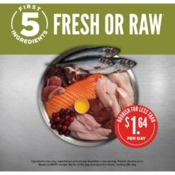 ORIJEN Senior Grain-Free Dry Dog Food -Blue Buffalo Shop 101299 PT3. AC SS1800 V1685631110