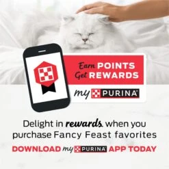 Fancy Feast Creamy Broths With Chicken & Vegetables Supplemental Wet Cat Food Pouches 18 Fancy Feast Creamy Broths With Chicken & Vegetables Supplemental Wet Cat Food Pouches -Blue Buffalo Shop 101738 PT7. AC SS1800 V1696259346