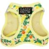 Sassy Woof Zest Friends Cat Harness -Blue Buffalo Shop 1019734 MAIN. AC SS1800 V1699919012