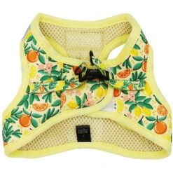 Sassy Woof Zest Friends Cat Harness -Blue Buffalo Shop 1019734 PT1. AC SS1800 V1699915949