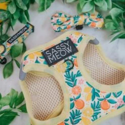 Sassy Woof Zest Friends Cat Harness -Blue Buffalo Shop 1019734 PT2. AC SS1800 V1699915841