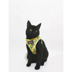 Sassy Woof Zest Friends Cat Harness -Blue Buffalo Shop 1019734 PT3. AC SS1800 V1699919067