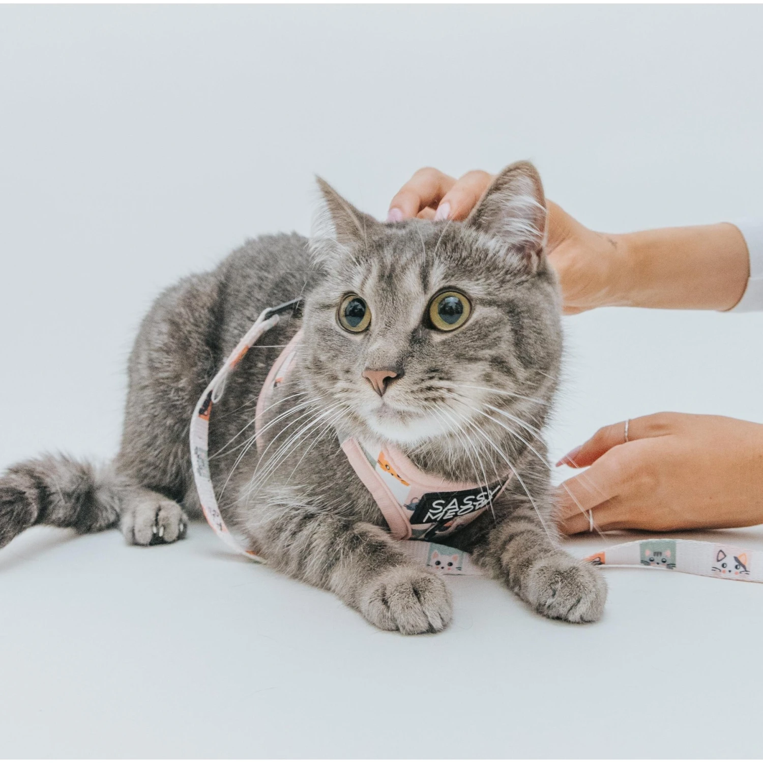 Sassy Woof Smitten Kittens Cat Leash, 6-ft Long 6 Sassy Woof Smitten Kittens Cat Leash, 6-ft Long - Image 4