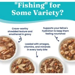 Solid Gold Five Oceans Variety Pack Wet Cat Food, 3-oz Can, Case Of 12 -Blue Buffalo Shop 1021734 PT3. AC SS1800 V1700681131