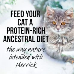 Merrick Backcountry Grain-Free Morsels In Gravy Real Beef Recipe Cuts Cat Food Pouches 18 Merrick Backcountry Grain-Free Morsels In Gravy Real Beef Recipe Cuts Cat Food Pouches -Blue Buffalo Shop 102312 PT7. AC SS1800 V1638040604