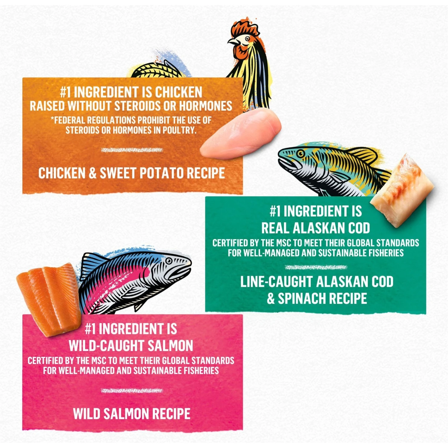 Purina Beyond Grain-Free Pate 3 Flavors Variety Pack Canned Cat Food 5 Purina Beyond Grain-Free Pate 3 Flavors Variety Pack Canned Cat Food - Image 3