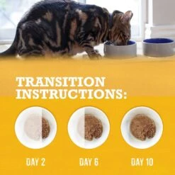 Purina Beyond Grain-Free Pate 3 Flavors Variety Pack Canned Cat Food 18 Purina Beyond Grain-Free Pate 3 Flavors Variety Pack Canned Cat Food -Blue Buffalo Shop 102323 PT7. AC SS1800 V1700162608