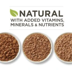 Purina ONE True Instinct Turkey, Chicken & Tuna Variety Pack Canned Cat Food 12 Purina ONE True Instinct Turkey, Chicken & Tuna Variety Pack Canned Cat Food -Blue Buffalo Shop 102381 PT1. AC SS1800 V1560796113