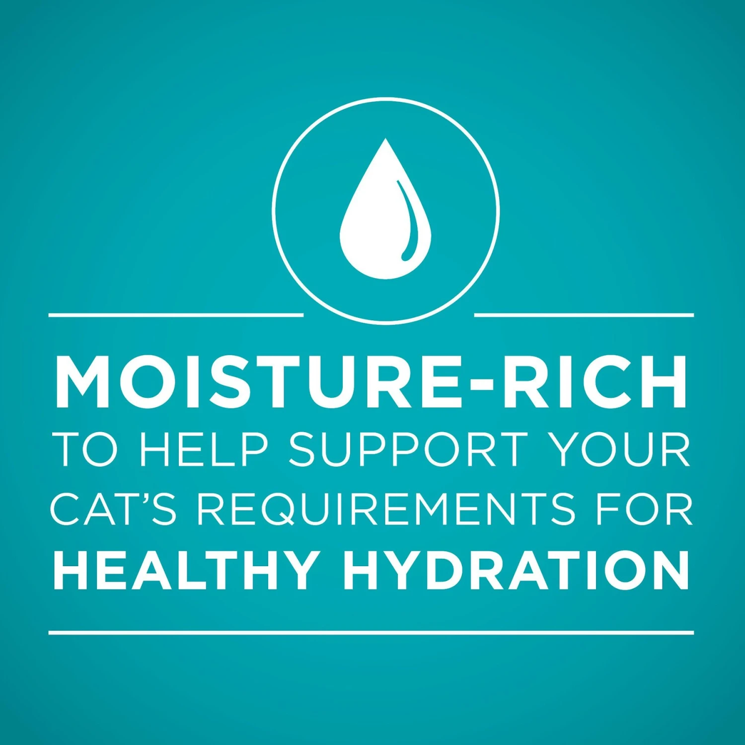 Purina ONE True Instinct Turkey, Chicken & Tuna Variety Pack Canned Cat Food 6 Purina ONE True Instinct Turkey, Chicken & Tuna Variety Pack Canned Cat Food - Image 4