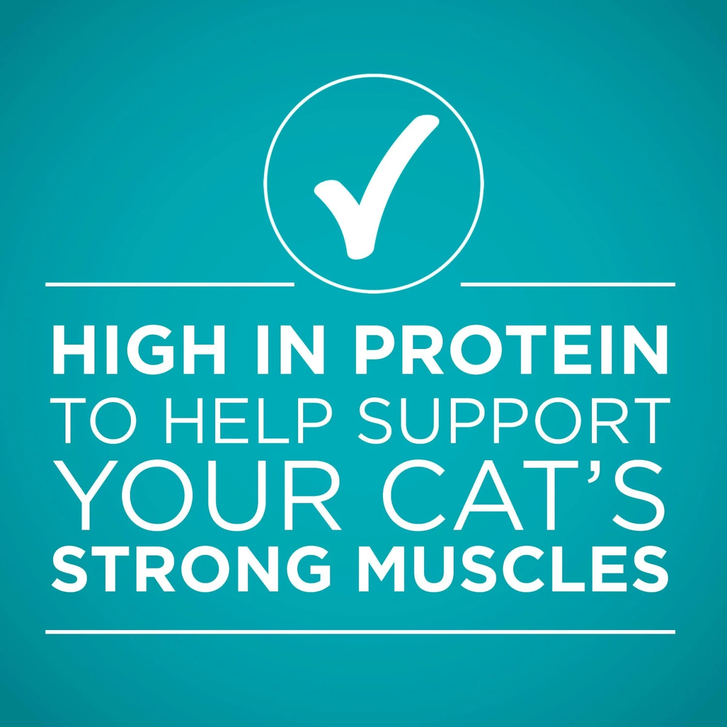 Purina ONE True Instinct Turkey, Chicken & Tuna Variety Pack Canned Cat Food 7 Purina ONE True Instinct Turkey, Chicken & Tuna Variety Pack Canned Cat Food - Image 5