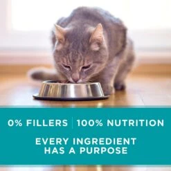 Purina ONE True Instinct Turkey, Chicken & Tuna Variety Pack Canned Cat Food 16 Purina ONE True Instinct Turkey, Chicken & Tuna Variety Pack Canned Cat Food -Blue Buffalo Shop 102381 PT5. AC SS1800 V1560796129