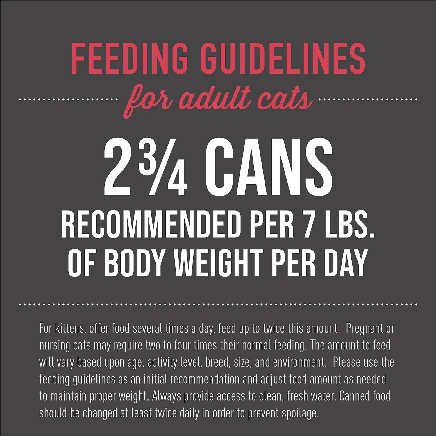 Tiki Cat Aloha Friends Tuna With Shrimp & Pumpkin Grain-Free Wet Cat Food 8 Tiki Cat Aloha Friends Tuna With Shrimp & Pumpkin Grain-Free Wet Cat Food - Image 6