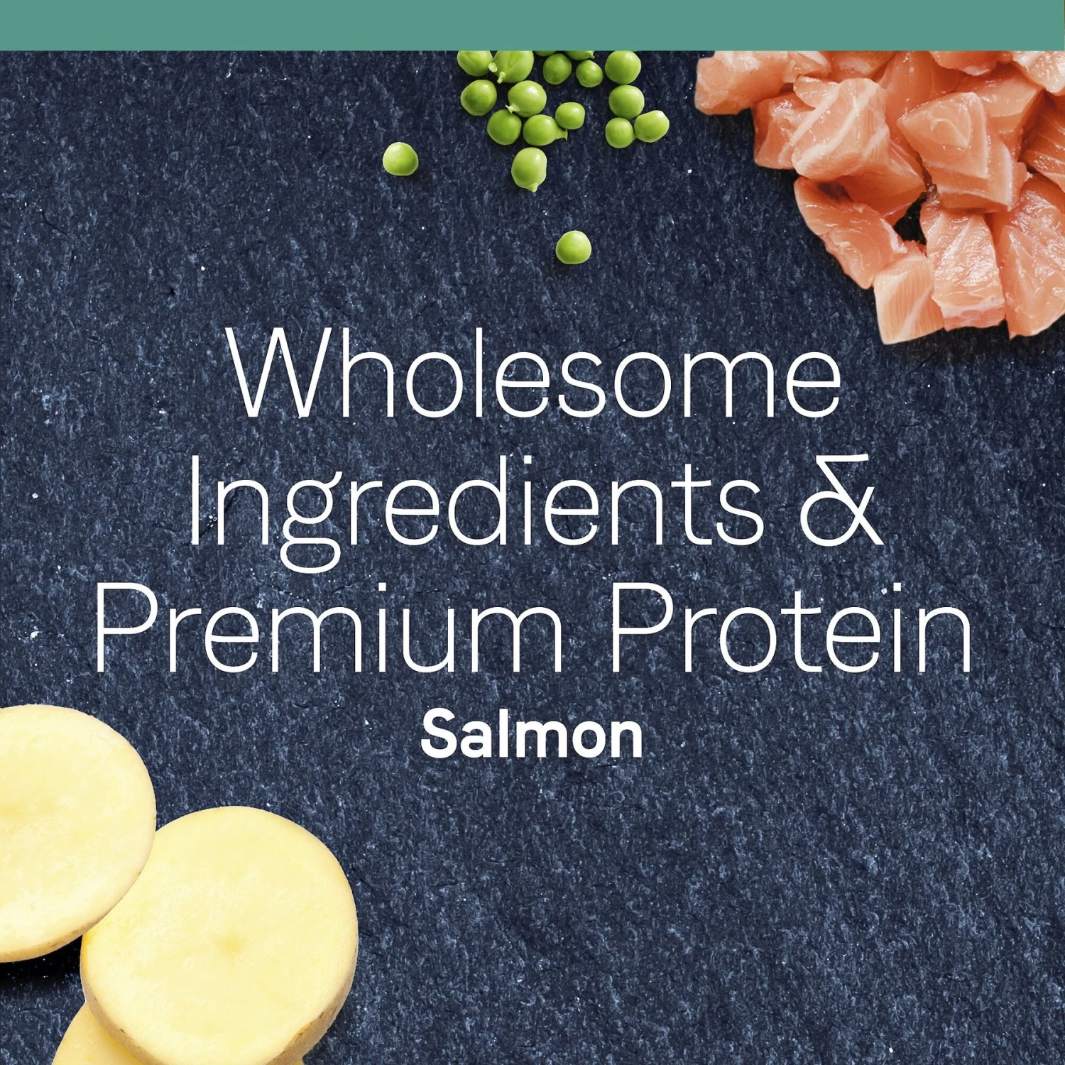 CANIDAE Grain-Free PURE Limited Ingredient Salmon Recipe Dry Cat Food 6 CANIDAE Grain-Free PURE Limited Ingredient Salmon Recipe Dry Cat Food - Image 4