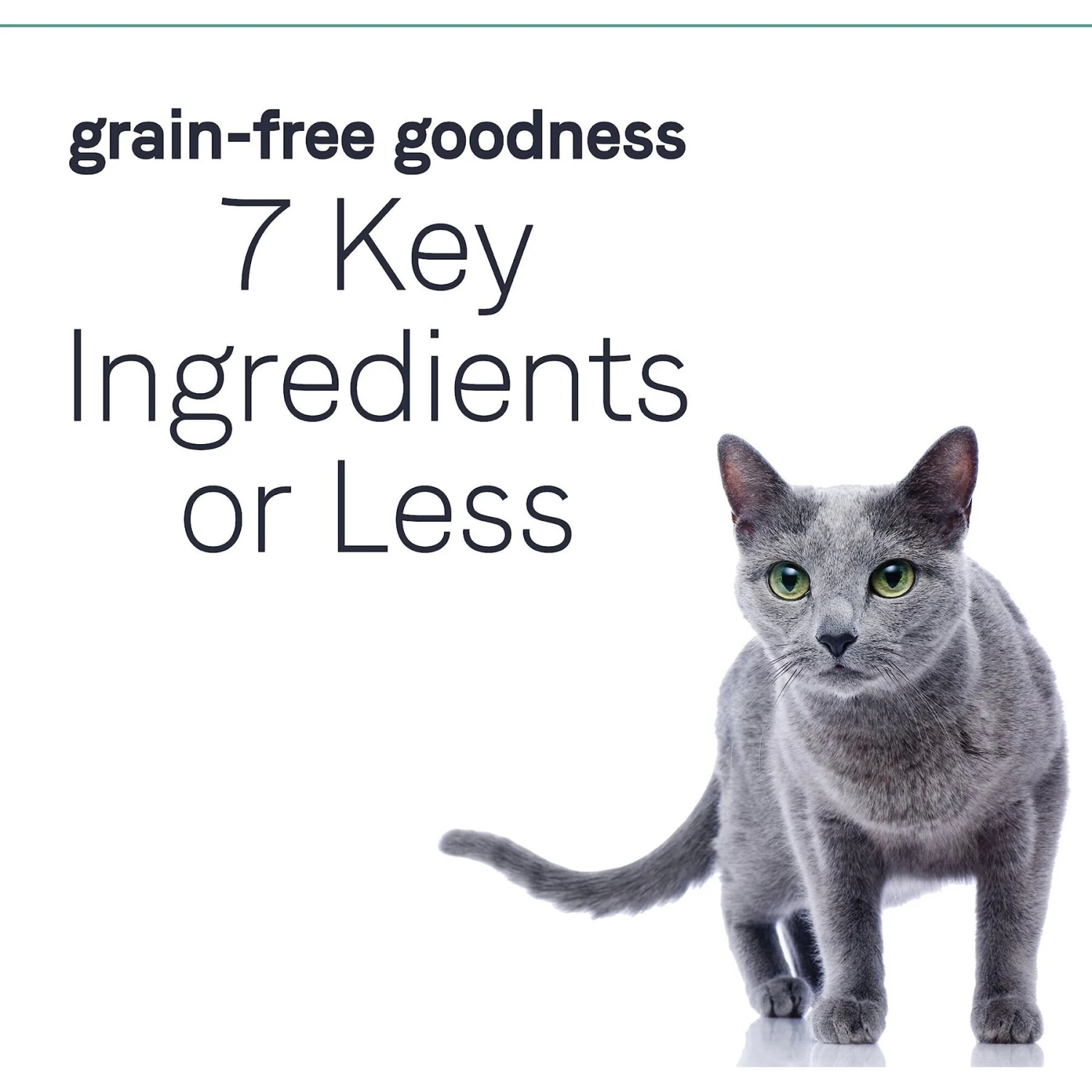CANIDAE Grain-Free PURE Limited Ingredient Salmon Recipe Dry Cat Food 7 CANIDAE Grain-Free PURE Limited Ingredient Salmon Recipe Dry Cat Food - Image 5