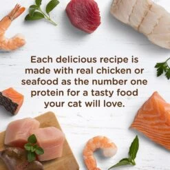 Rachael Ray Nutrish Tuna Purrfection Natural Grain-Free Wet Cat Food 11 Rachael Ray Nutrish Tuna Purrfection Natural Grain-Free Wet Cat Food -Blue Buffalo Shop 105377 PT3. AC SS1800 V1535580204