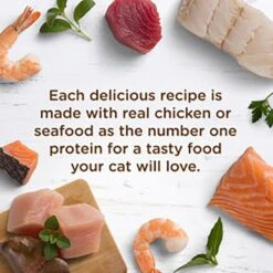 Rachael Ray Nutrish Chicken Purrcata Natural Grain-Free Wet Cat Food 13 Rachael Ray Nutrish Chicken Purrcata Natural Grain-Free Wet Cat Food -Blue Buffalo Shop 105378 PT4. AC SS1800 V1657654929