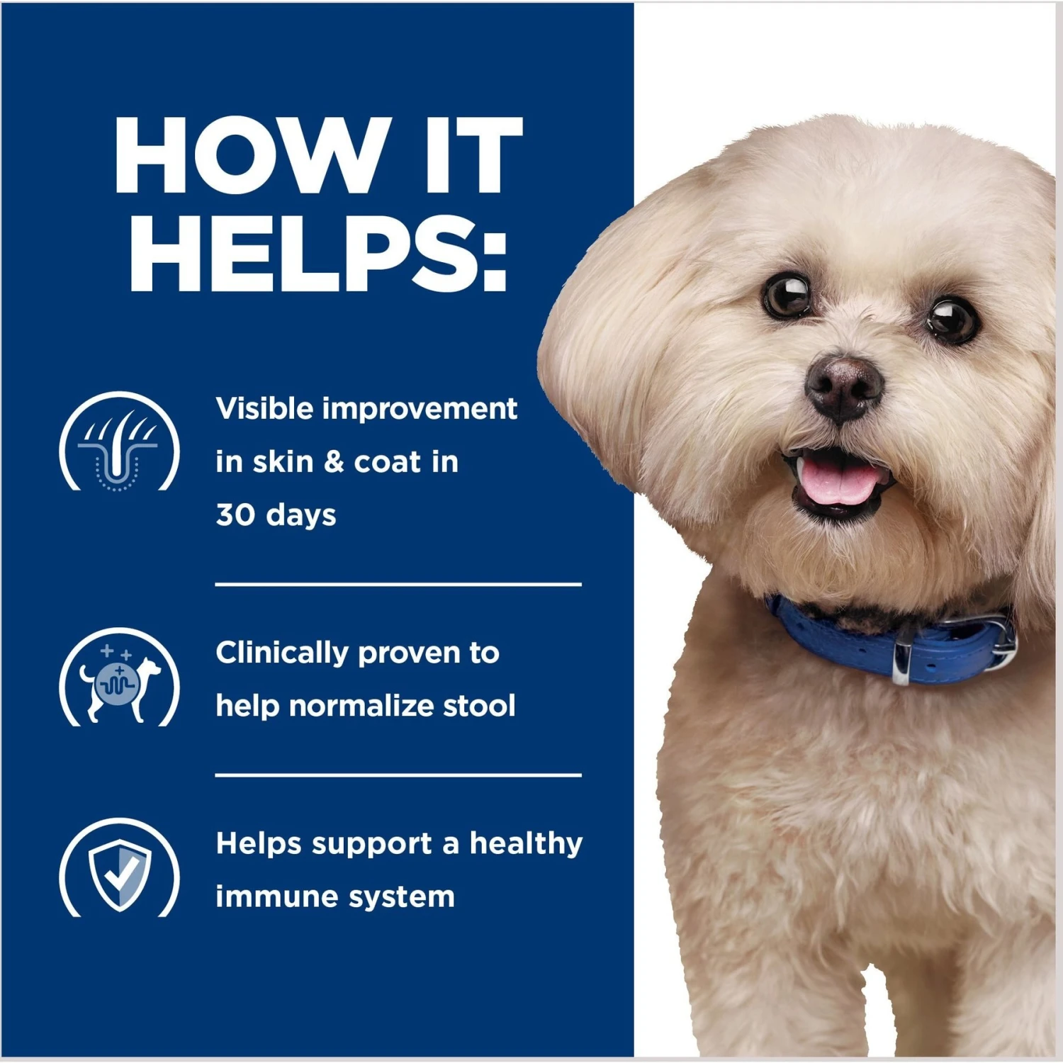 Hill's Prescription Diet Z/d Skin/Food Sensitivities Small Bites Original Flavor Dry Dog Food 6 Hill's Prescription Diet Z/d Skin/Food Sensitivities Small Bites Original Flavor Dry Dog Food - Image 4