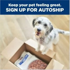 Hill's Prescription Diet Z/d Skin/Food Sensitivities Small Bites Original Flavor Dry Dog Food 19 Hill's Prescription Diet Z/d Skin/Food Sensitivities Small Bites Original Flavor Dry Dog Food -Blue Buffalo Shop 106407 PT8. AC SS1800 V1668551596