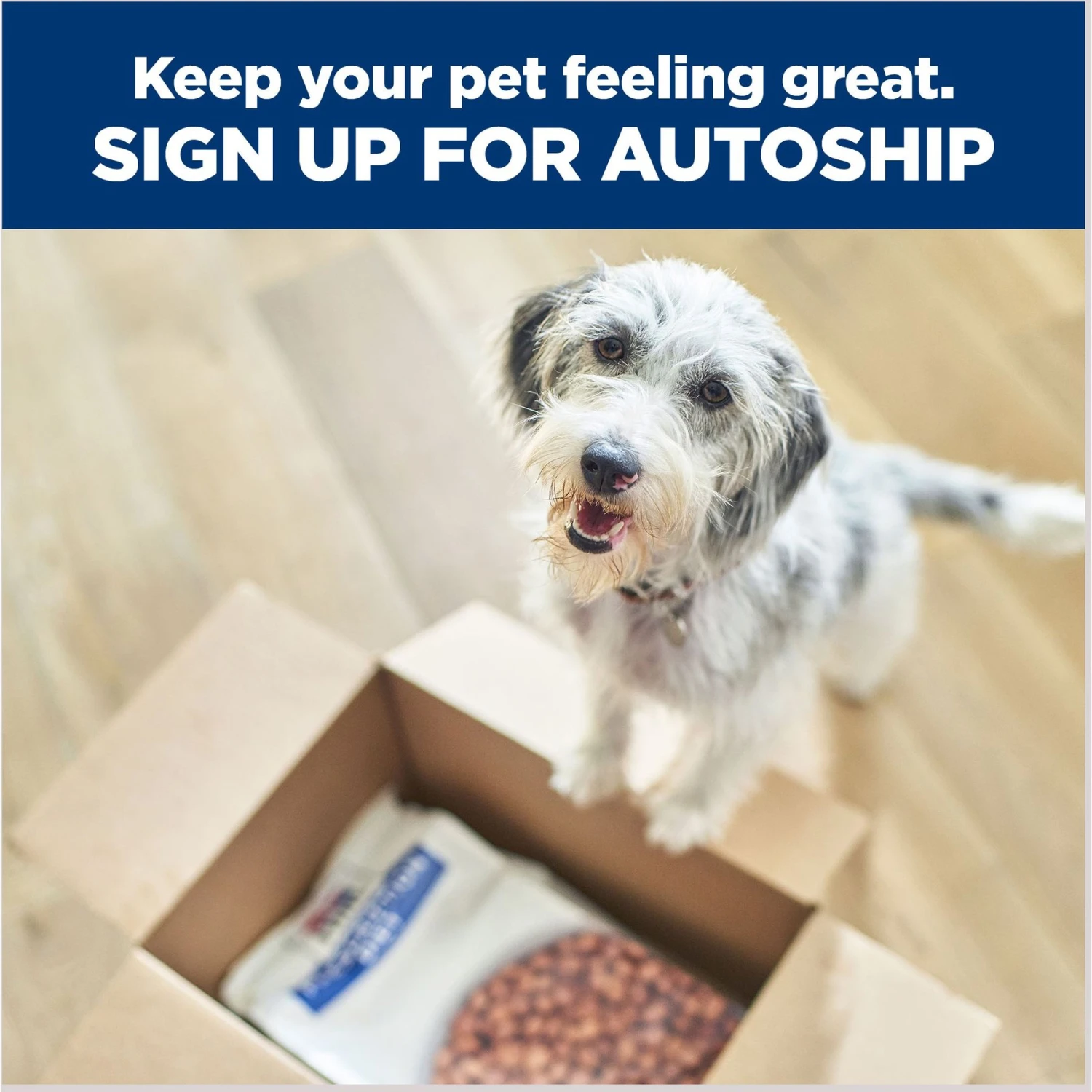 Hill's Prescription Diet Z/d Skin/Food Sensitivities Small Bites Original Flavor Dry Dog Food 11 Hill's Prescription Diet Z/d Skin/Food Sensitivities Small Bites Original Flavor Dry Dog Food - Image 9