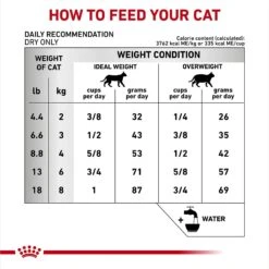Royal Canin Veterinary Diet Adult Ultamino Dry Cat Food 18 Royal Canin Veterinary Diet Adult Ultamino Dry Cat Food -Blue Buffalo Shop 109138 PT7. AC SS1800 V1695136995